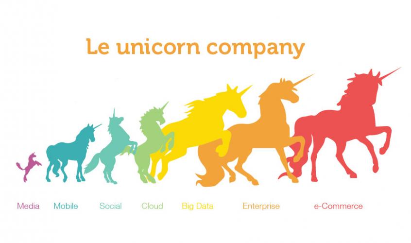 Unicorn Company Unicorn Company