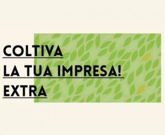 Seminario "La sostenibilità ambientale nella gestione aziendale" - 26/09/2024