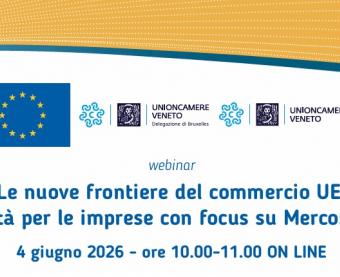 webinar mercosur e india opportunità per le imprese 4 giugno