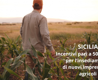 Immagine Bando Insediamento Giovani Agricoltori Sicilia
