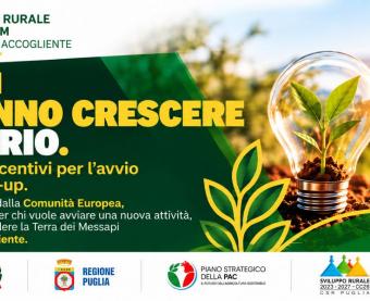 Il GAL Terra dei Messapi promuove il Bando Integrato Azione 3 + Azione 5 (interventi SRD14 e SRE04) del CSR Puglia 2023–2027, dedicato all'avvio di nuove attività, start-up e investimenti per imprese non agricole nel territorio.