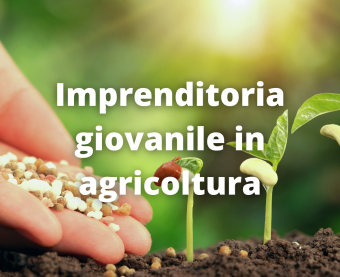 Imprenditoria Agricoltura