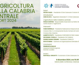 Locandina Presentazione report 2024 “L’agricoltura nella Calabria centrale”