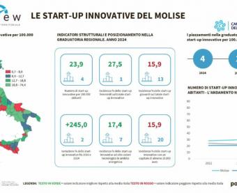 Infografica Centro Studi Tagliacarne