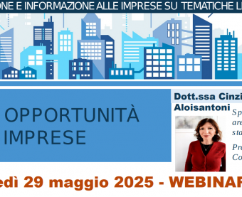 ZLS: le opportunità per le imprese, 29 maggio
