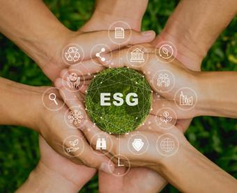 SUSTAIN-ability: l’assessment di sostenibilità per le imprese 