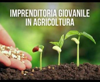 Imprenditoria giovanile in agricoltura