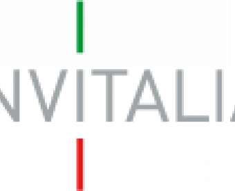 logo invitalia