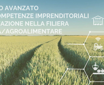 Sviluppo delle competenze imprenditoriali e innovazione nella filiera agricola/agroalimentare: parte ad ottobre il percorso avanzato negli Istituti Agrari di Chieti e Pescara