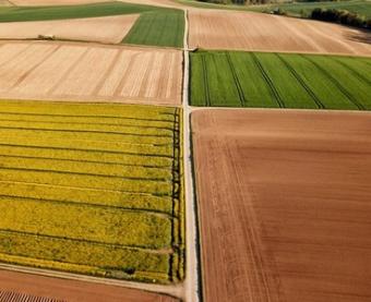 Rete SUAP Emilia Romagna - Agricoltura - pesca professionale e acquacoltura